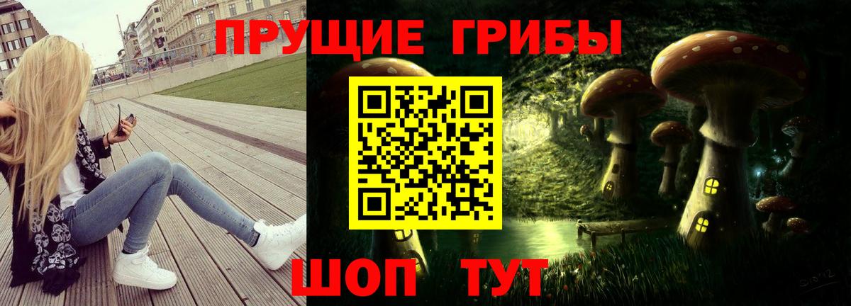 Воронеж  Галлюциногенные грибы GOLDEN TEACHER  Псилоцибиновые грибы Psilocybine cubensis  Вход с VPN 